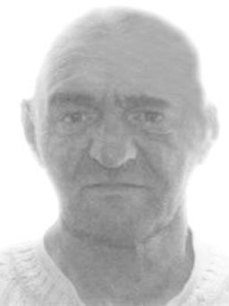 MILORAD Milutinov LAZAREVIĆ