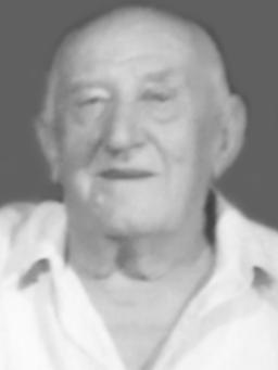 VOJISLAVA Špira PEJOVIĆA