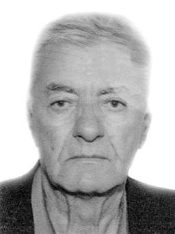 DESIMIR – DRAGO Radosava BULATOVIĆ