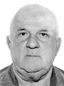 NAJO PEROVIĆ
