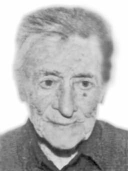 NOVKI BIJELOVIĆ