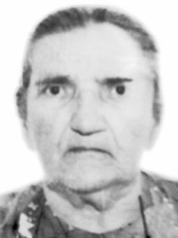 STANICA ČIČIĆ