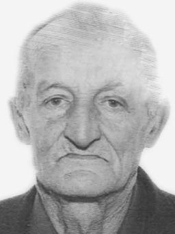 LABUD Andrije PERUNOVIĆ