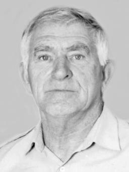 MLADEN LJ. ŽIVKOVIĆ