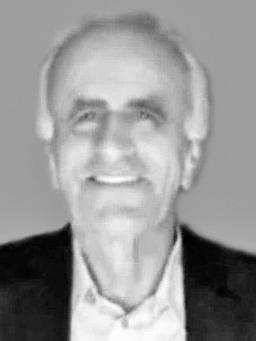 VESELIN Vukotin MIRKOVIĆ