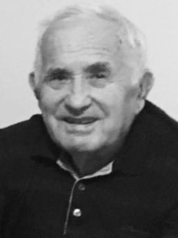 DRAGOMIR - DRAGO Radisavov NIKIĆ