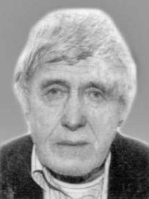VESELIN Milorada DARMANOVIĆ
