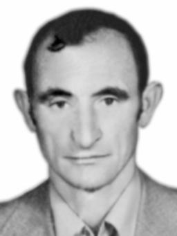 STANKO Andrije BOJANOVIĆ