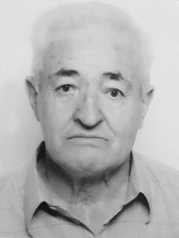 Ljubomir Radoša DŽAKOVIĆ