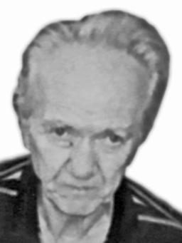 LUKA Dušanov NIKPALJEVIĆ