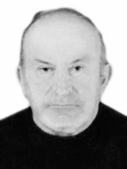 ILIJE ICA NOVAKOVIĆA