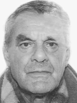 DRAGOMIR Pavla ROĆENOVIĆ