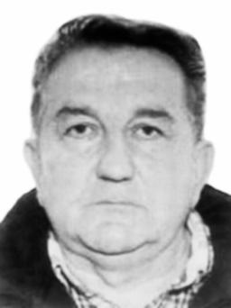 BRANISLAVU BRANU MARTINOVIĆU
                               dipl. ing. građevine
