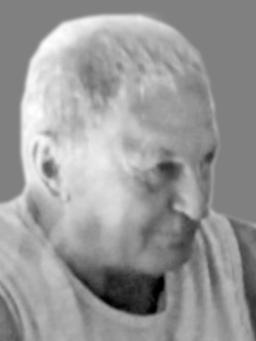 Dušana – Tuja Petrovića