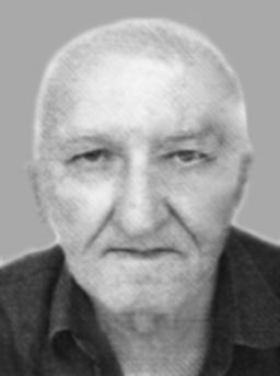 BORISLAV Milentije BORIČIĆ