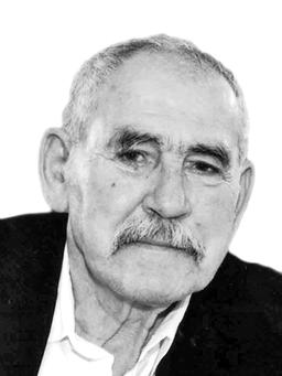 ŽIVOJINA-VOJA RAKOČEVIĆA