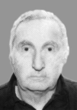 MILIJA Jagošev MUMINOVIĆ