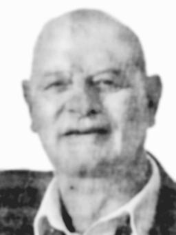 MIRKO B VUKOVIĆ