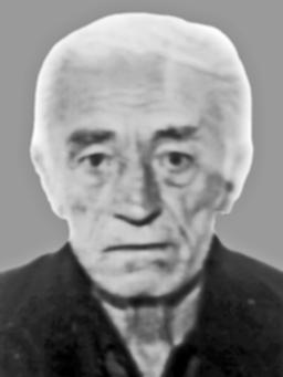 PETAR Mitrov KRSTOVIĆ