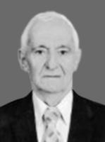 ILIJA N. VULETIĆ