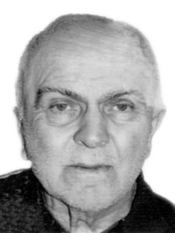 MILAN DARMANOVIĆ
