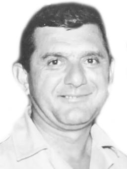 ĆAMI