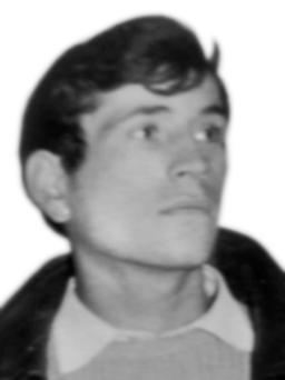 VUKAŠIN Perkov KOVAČEVIĆ