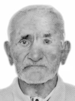 PETAR Lazarev MILOVIĆ
