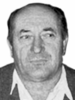 VOJIN Miloradov KNEŽEVIĆ