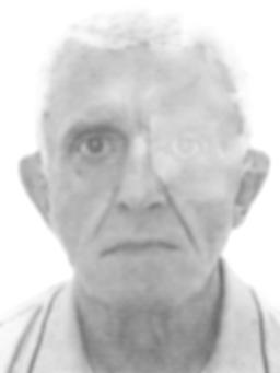 MILUTIN Todorov BOJOVIĆ