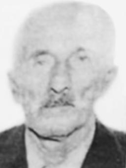 NENAD BAJČETA