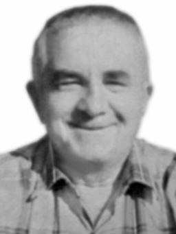 MLAĐEN – MLAĐO BOJOVIĆ