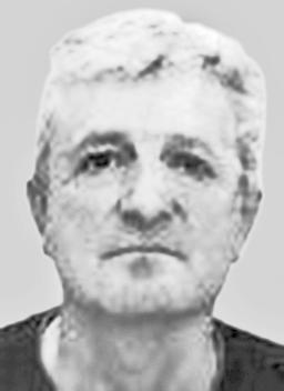 Veselinu Subotiću