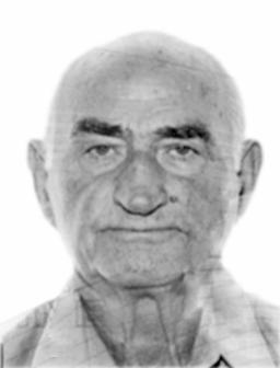 NOVICA Ilije VARAJIĆ