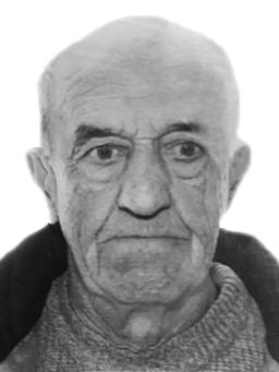 RADISAV Mikaila LEKOVIĆ