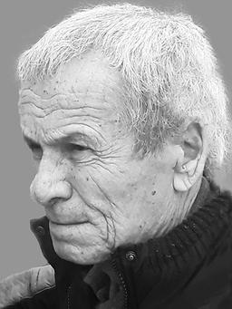 STEVAN Milovana ADŽIĆ