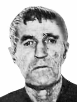 LJUBO M. KRSTAJIĆ