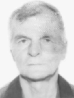 ČEDOMIR - MIĆO Miloša ĆALASAN