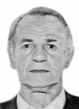 RADOMAN Sretka TVRDIŠIĆ