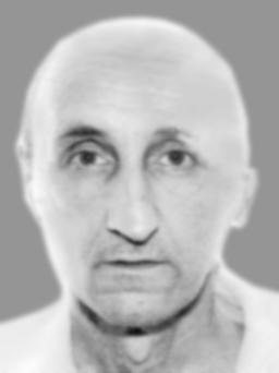NENAD-Napoleona VUKOTIĆ  
Službenik Privrednog Suda