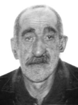 RADOVAN- Mirko Vučkov ŠLJIVANČANIN