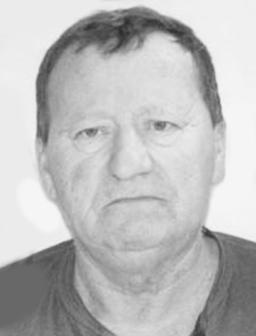 ŠĆEPANOVIĆ V. BOŽIDAR