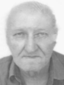 BORA Milentije BORIČIĆA
