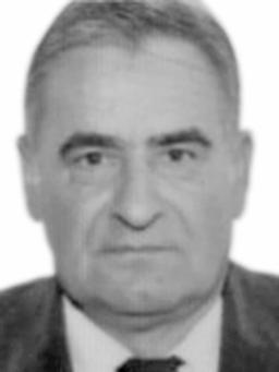 RATKA BOGAVCA