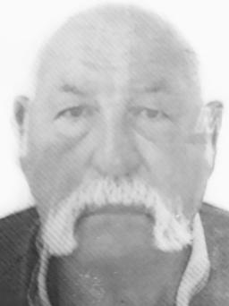 RADOVAN Sava ARNAUT