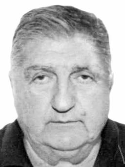 MIROSLAV-Galeb Vasilija BOŠKOVIĆ