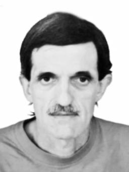 VELIZAR RADULOVIĆ
