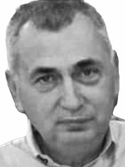 SVETISLAVU DOMAZETOVIĆU