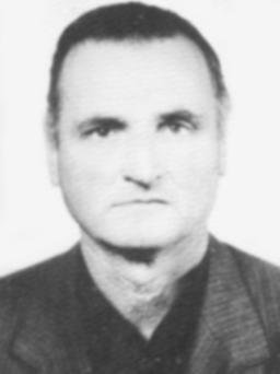 VOJISLAV MIRKOVIĆ