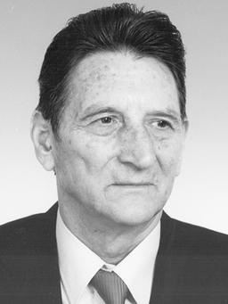 babic nedeljko